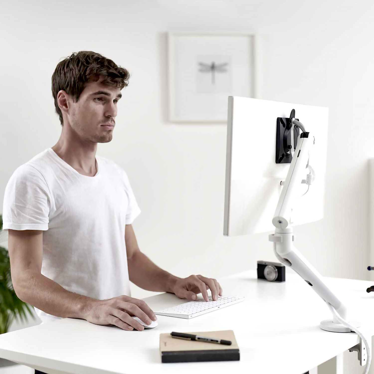 Flo-Monitor-Arm-User.jpg